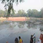 Vraj-Yatra-2014- (2451)